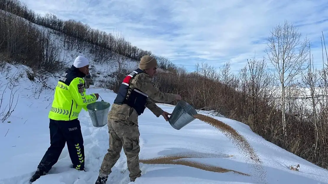 Bitlis'te yaban hayvanlar için yemleme çalışması