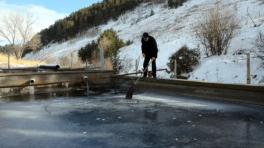 Kars'ta balık havuzları dondu