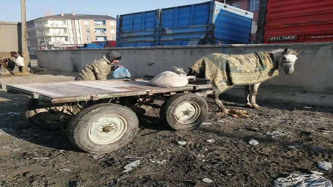 Ağrı'da Kış, At Arabacılarına Bereket Getirdi