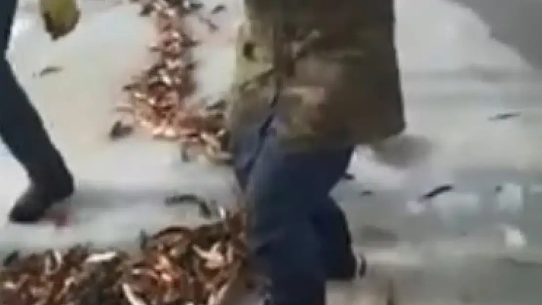 Balık tutan vatandaşların sevinci kameraya yaansıdı