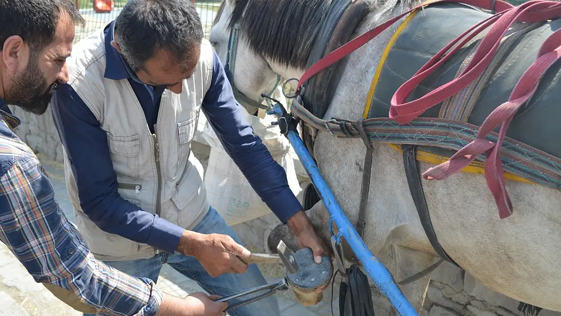 Ağrı'da  Nalbantlık tarihe karışıyor
