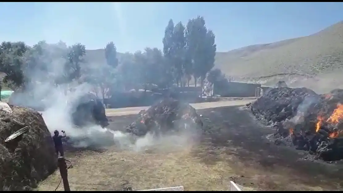 Ağrı'da bir köyün otu küle döndü