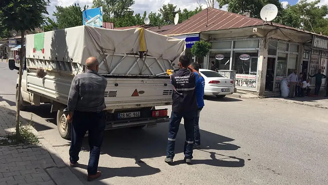 Tutak'ta başıboş köpekler toplatıldı
