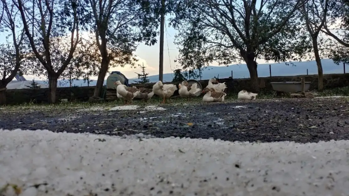 Dolu beyaza bürüdü