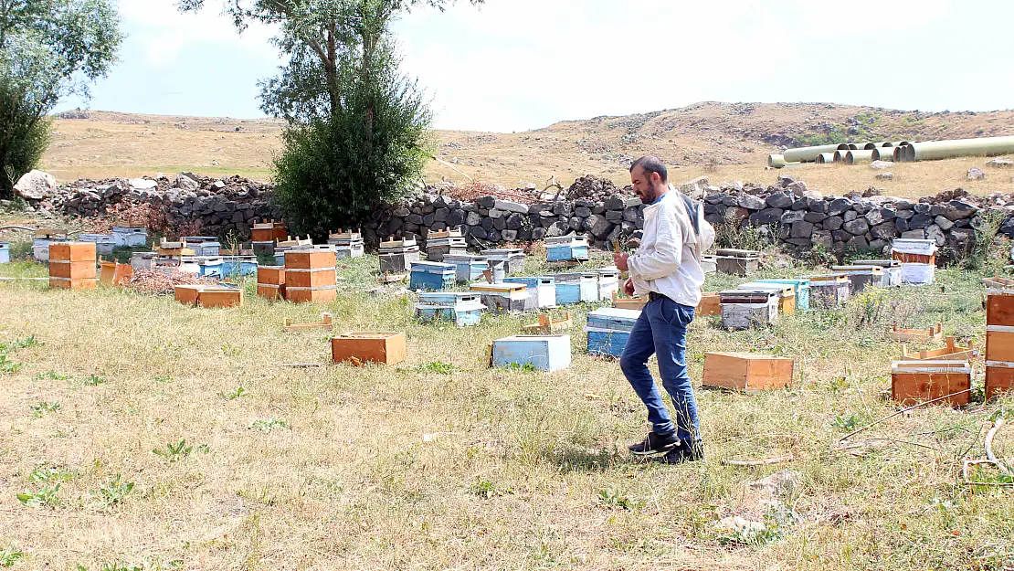 Organik bal üreten Ağrılı arıcı siparişlere yetiştiremiyor