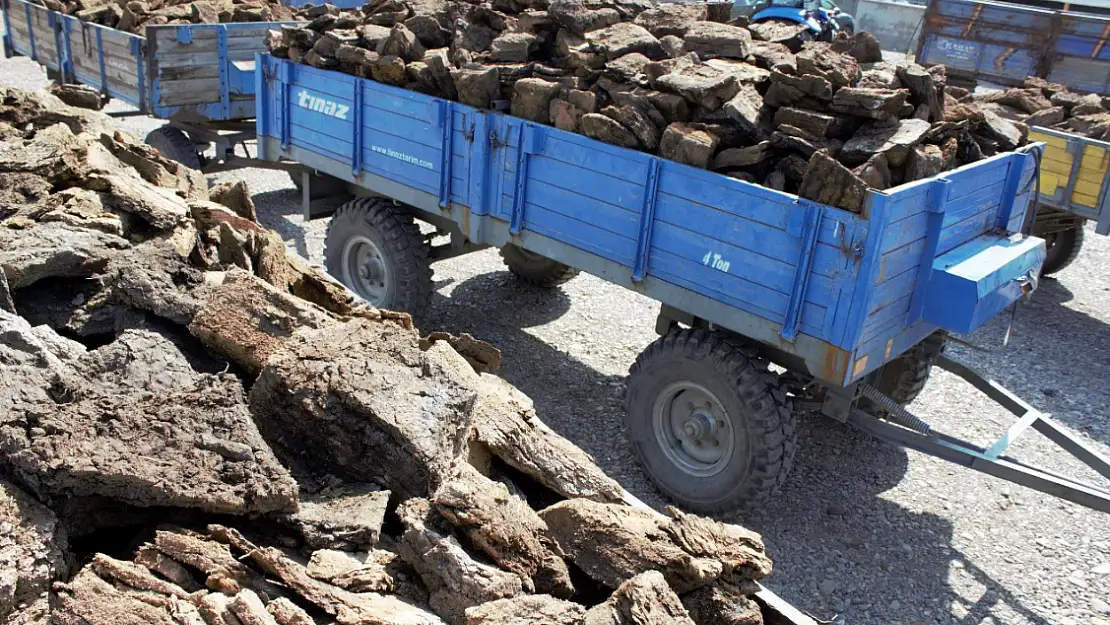 Kömür fiyatları yükselince vatandaşlar tezek almaya başladı