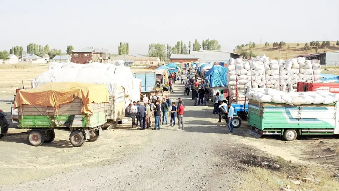 Ağrı'da kışın 1 liraya satılan saman 30 kuruştan satılıyor