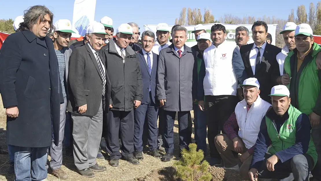 Ağrı'da 'Bu Gün Fidan  Yarın Nefes' ağaç dikim etkinliği düzenlendi