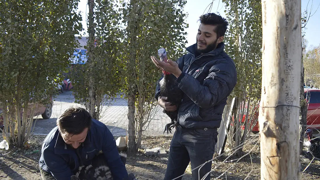 Kesmeye Kıyamadığı hindileri için sanayide çiftlik kurdu
