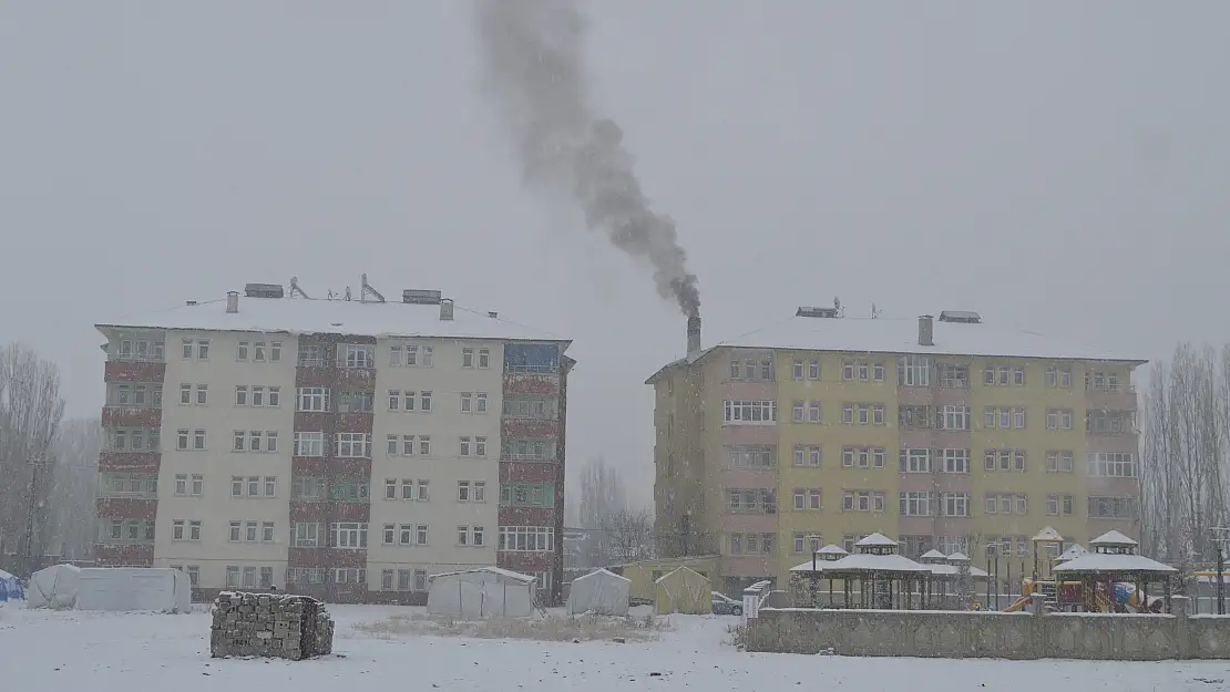 Ağrı'da kar yağışı