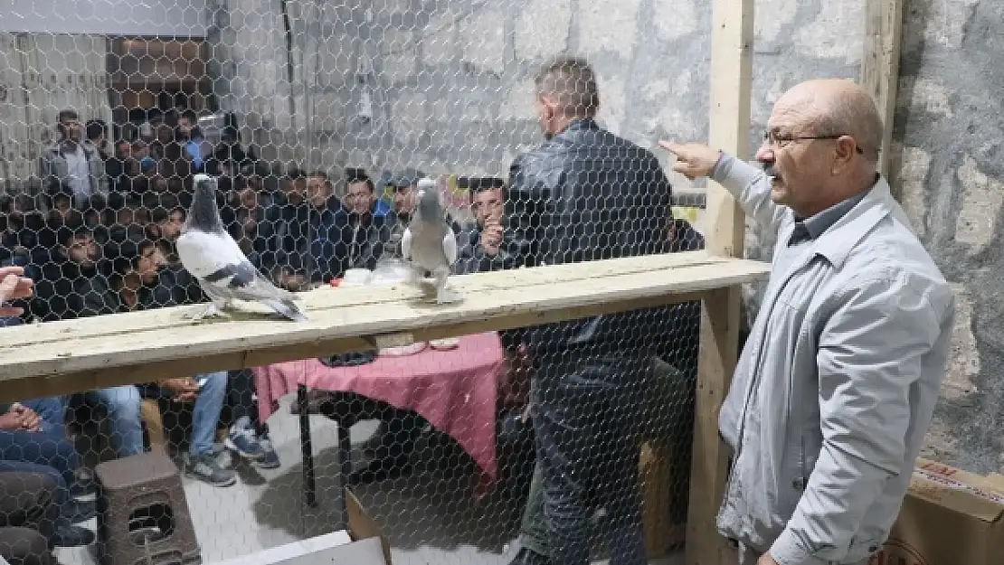Her biri birer otomobil fiyatında