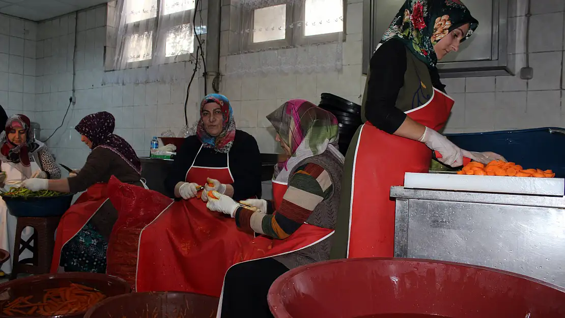 Ağrılı kadınlar günde 1,5 ton turşu üretiyor