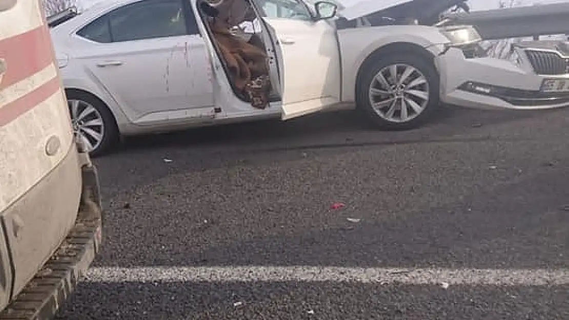 Ağrı'da trafik kazası 1 ölü