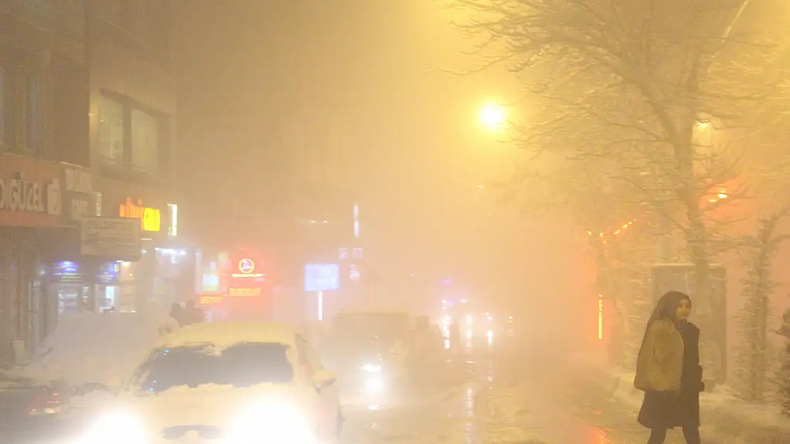 Ağrı'da yoğun sis
