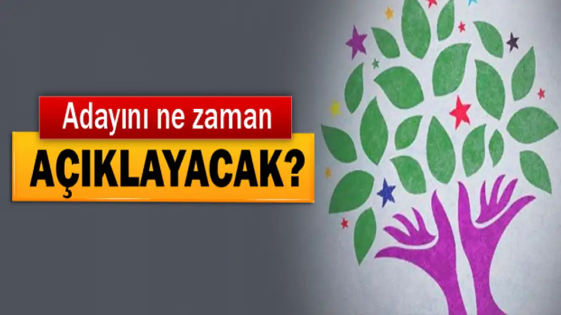 HDP Ağrı Belediye Başkan Adayı Kim Oldu ?