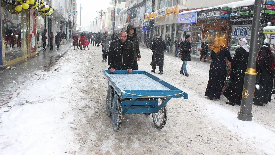 Ağrı'da yılın son karı