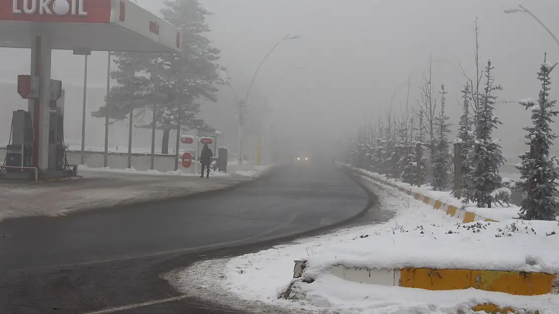 Ağrı'da yoğun sis ve soğuk hava