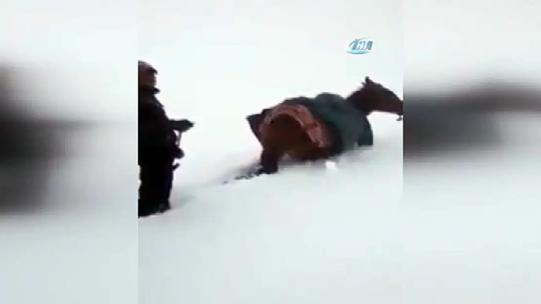 Fast'ta böylesi görülmedi