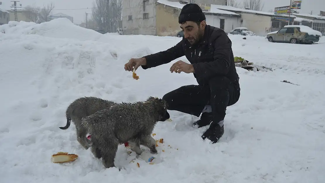 Kar yağışı altında sokak hayvanları için seferber oldu