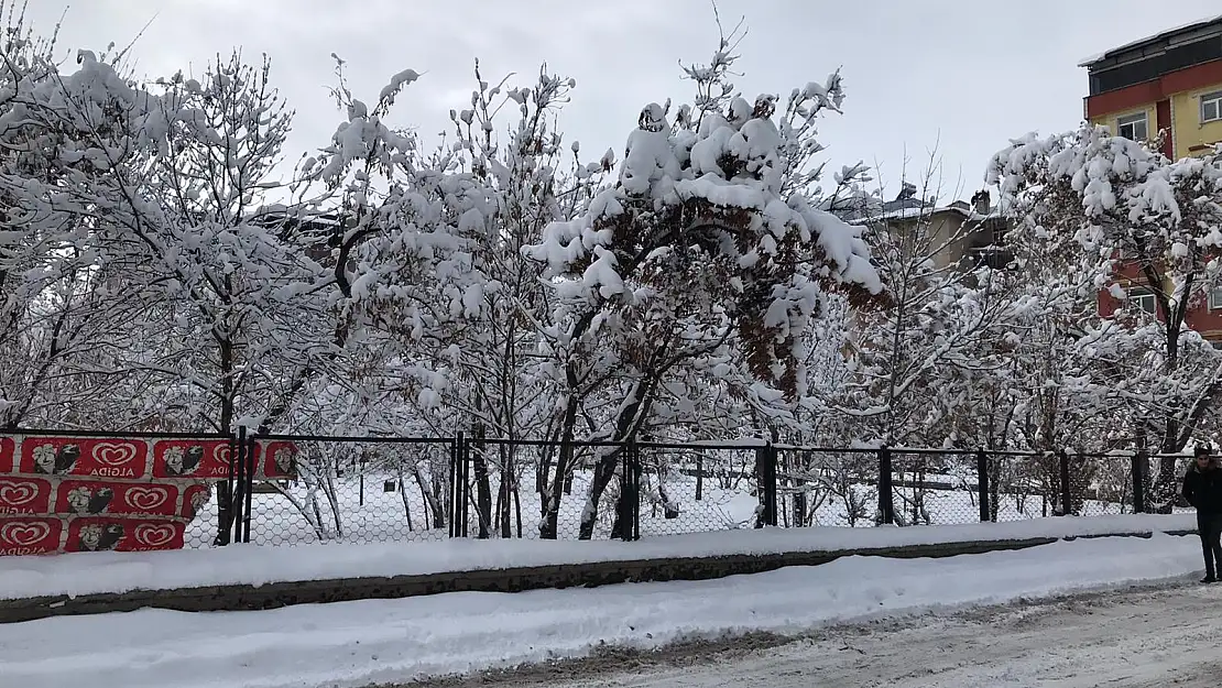 Ağrı'da kar yağışı ve soğuk hava hayatı olumsuz etkiliyor