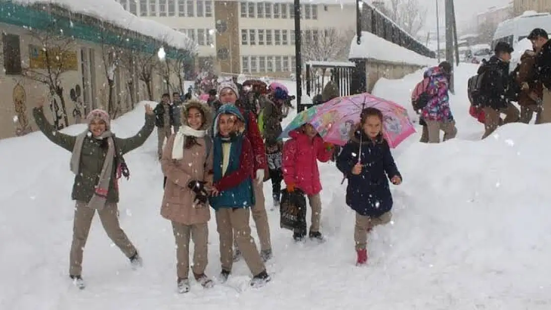 Ağrı'da o ilçelerde de okullar tatil !