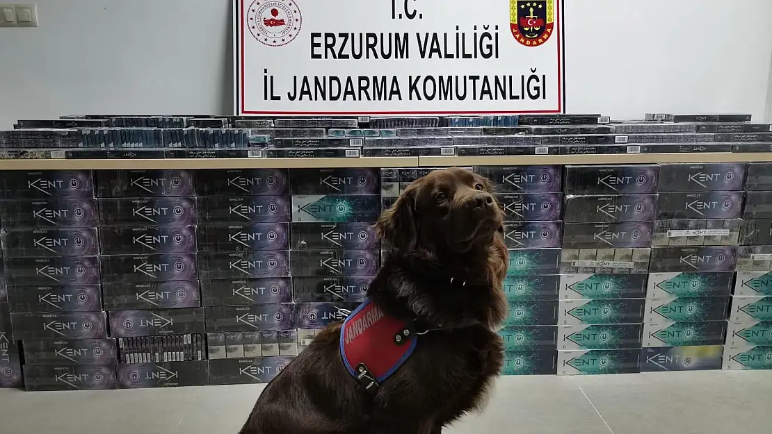 Kaçakçılara geçit yok