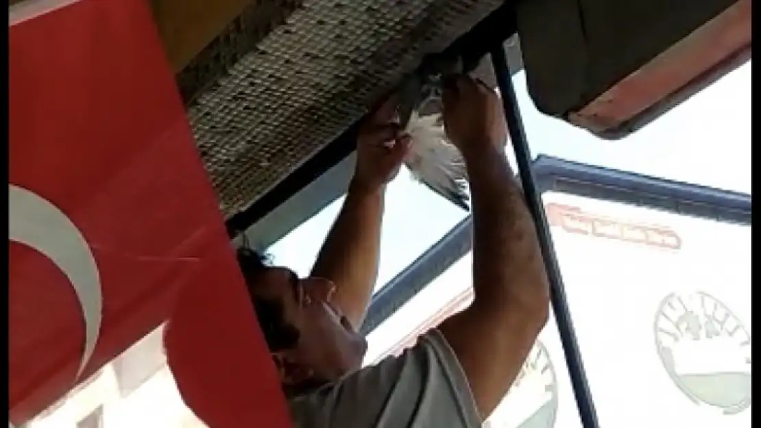 Dükkân Tabelasına Sıkışan Güvercin itfaiye ekiplerince kurtarıldı