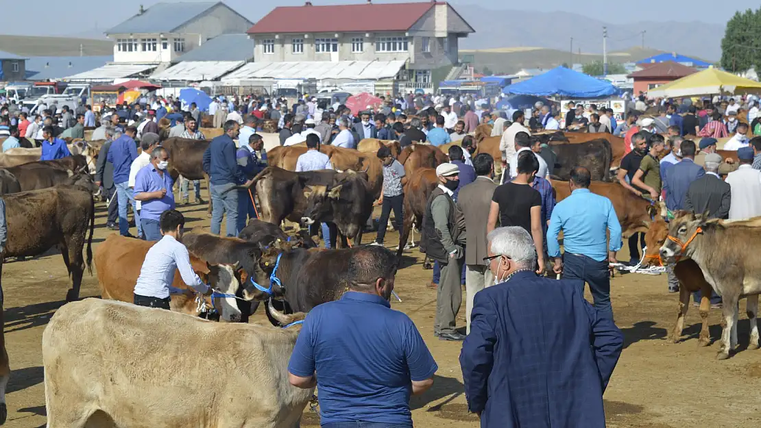 Ağrı Hayvan Borsası'nda Kurban Bayramı hareketliliği sürüyor