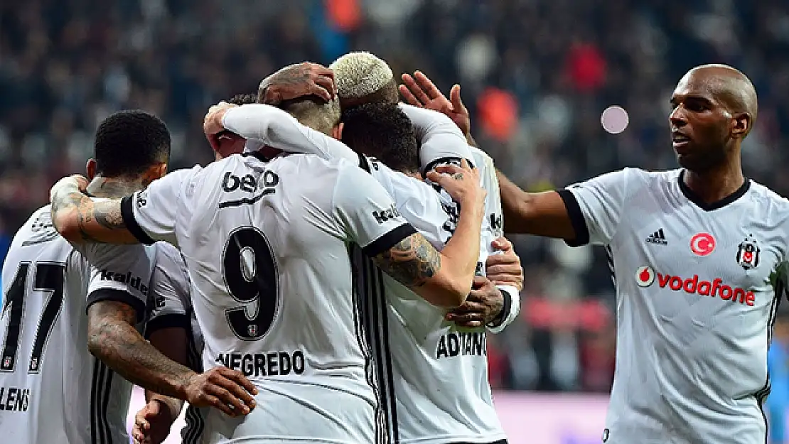 Kara kartal Almanya'da