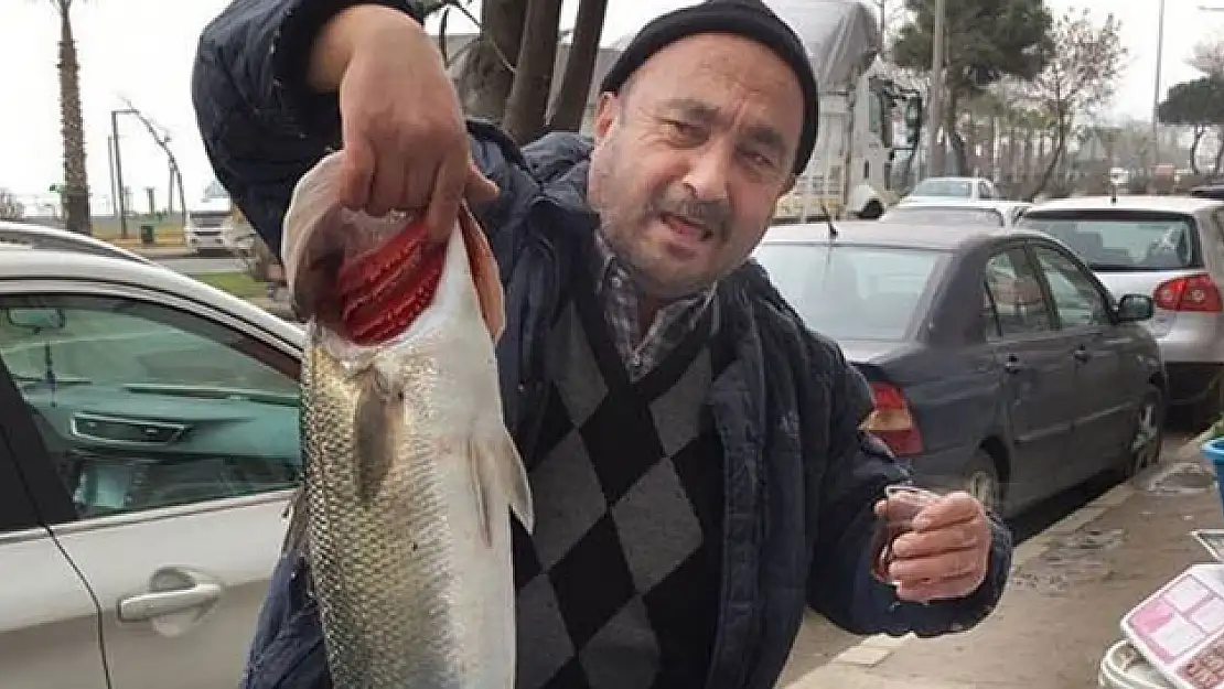 Ordu'da 7 kiloluk levrek yakalandı