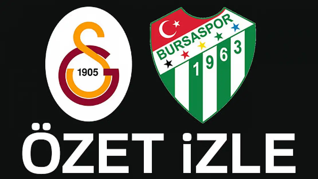 Aslan'dan timsah avı