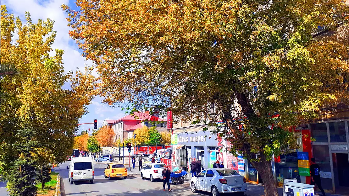 Ağrı'da eşsiz sonbahar manzaraları