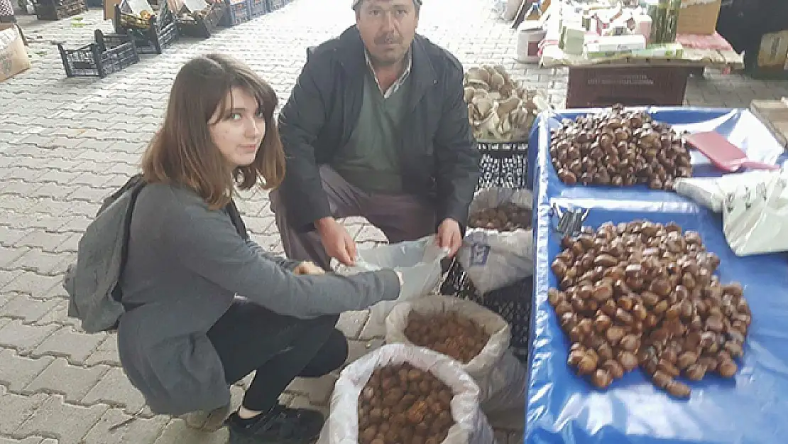 Cevizin fiyatı aldı başını gitti