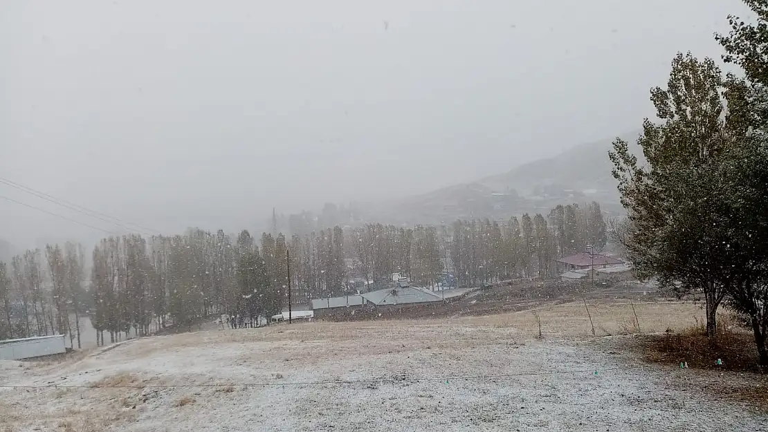 Ağrı'ya yılın ilk karı yağdı
