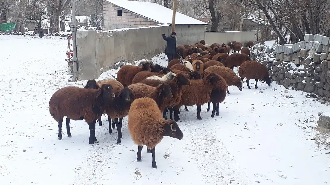 Ağrılılar güne karla uyandı