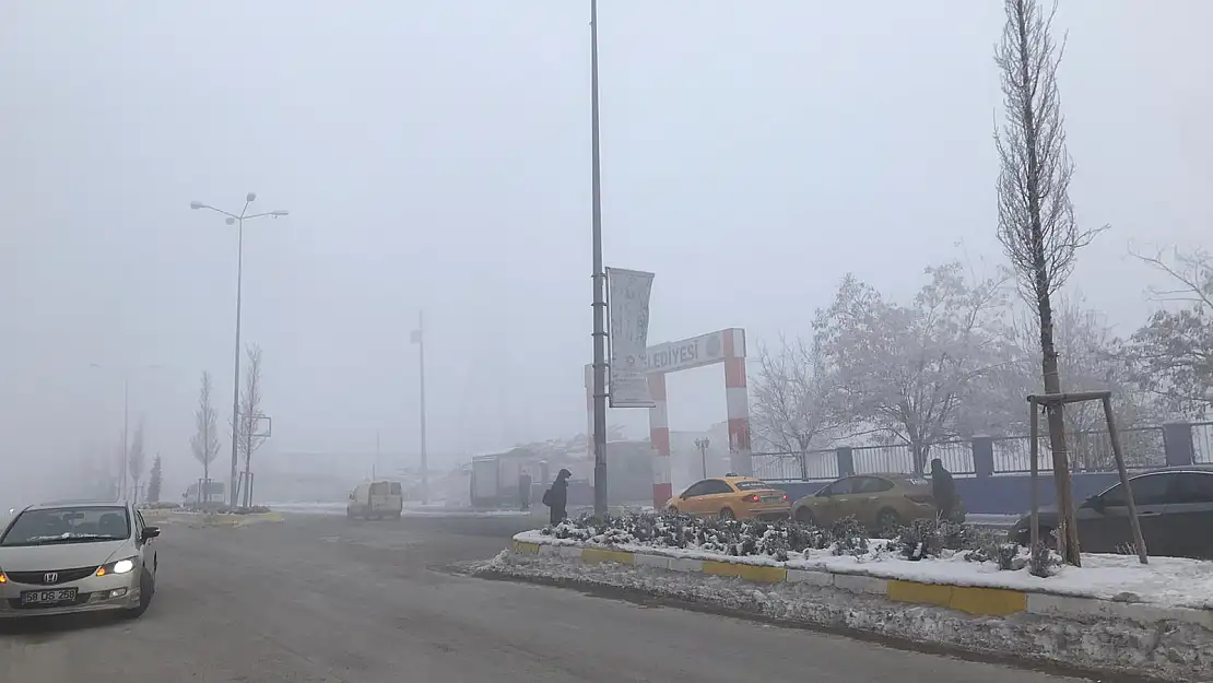Ağrı'da Yoğun Sis Etkili Oldu