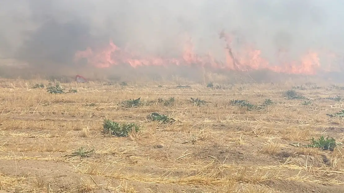 Adilcevaz'da Arpa Tarlasını Saran Yangın İtfaiye Ekiplerini Seferber Etti