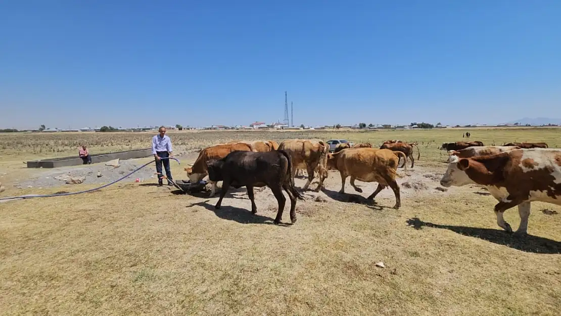 Adilcevaz'daki Arin Gölü 5 km çekildi köylüler su için kuyular açıyor, kalıcı çözümler bekli