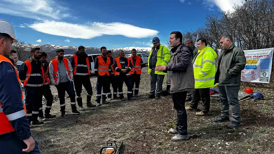 Ağaç budama çalışmaları güvenlik ve süreklilik için özenle yürütülüyor