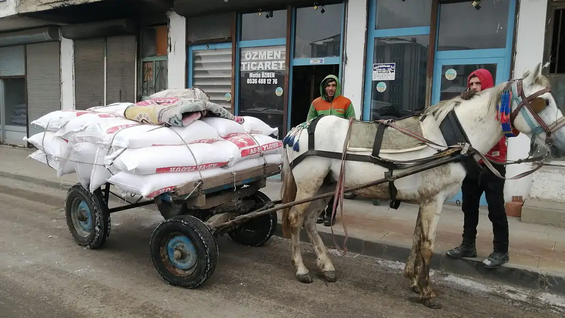 Ağrı'da at arabacıları soğuk havalarda yük taşımayı sürdürüyor