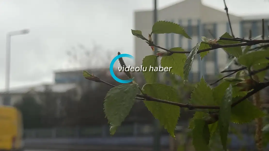 Ağrı'da bahar yağmurları etkisini sürdürüyor