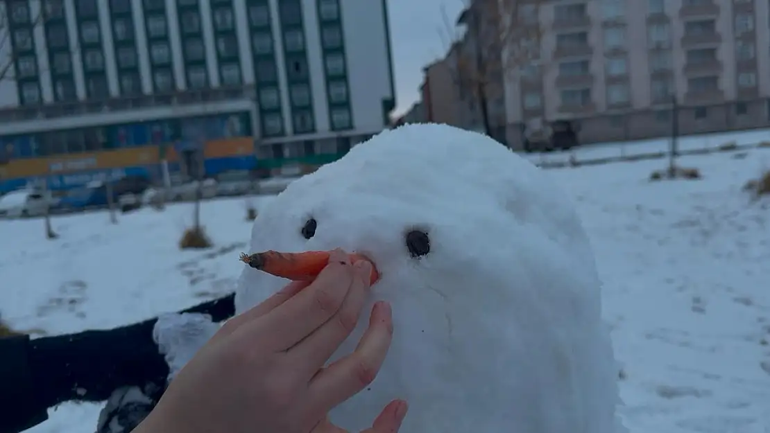 Ağrı'da kar büyüklere dert küçüklere oyun demek