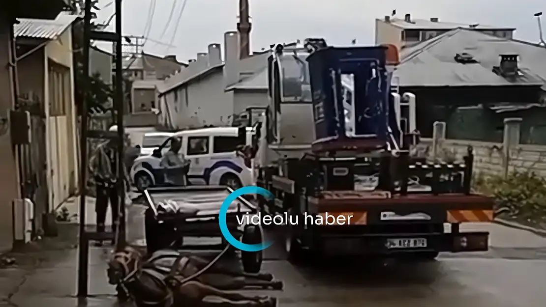 Ağrı'da dehşete düşüren olay! Allah'a emanet yaşıyoruz