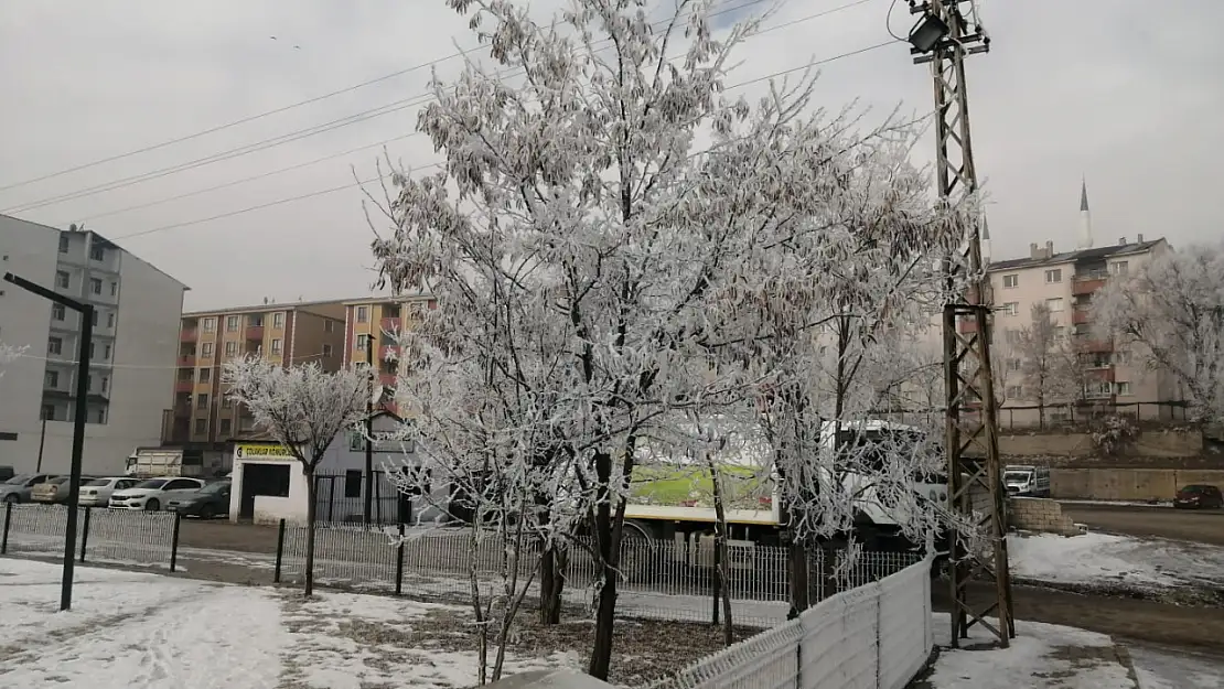 Ağrı'da dondurucu soğuklar etkisini sürdürüyor