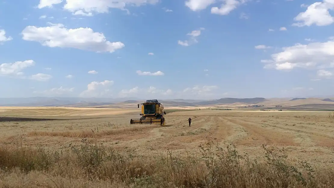 Ağrı'da hasat mesaisi başladı: Bu kurallara uymayan hasat yapamayacak!