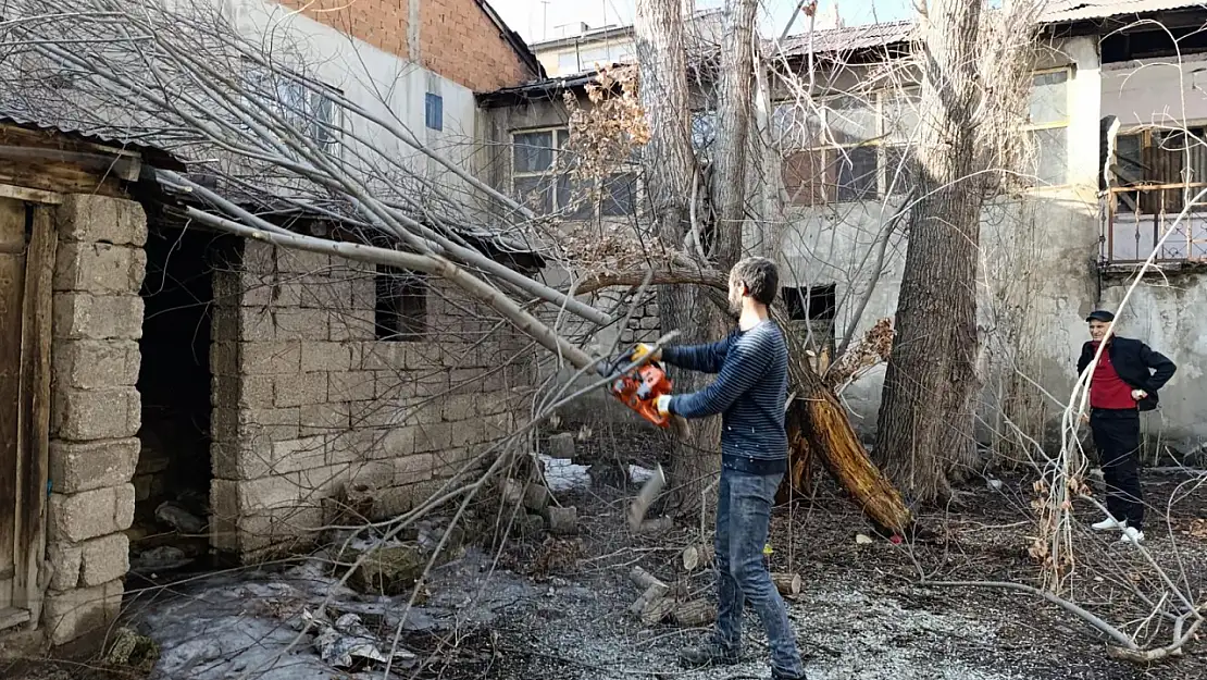 Ağrı'da kar yağışı ağaçları kırdı, baharda temizlik başladı