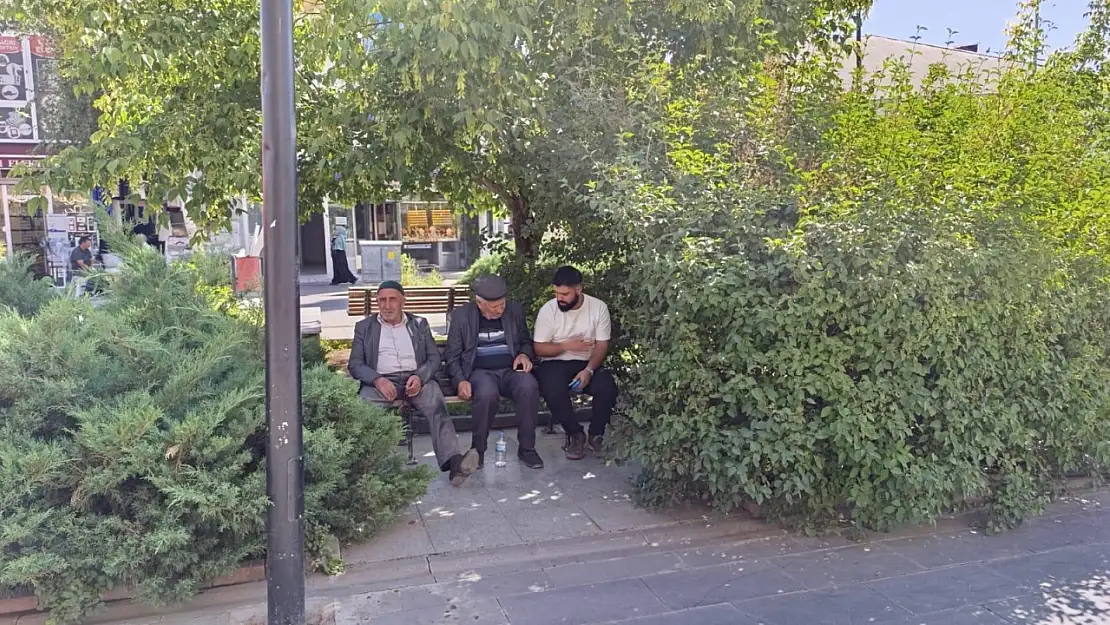 Ağrı'da kavurucu sıcaklar, ağaçların gölgesini değerli kıldı