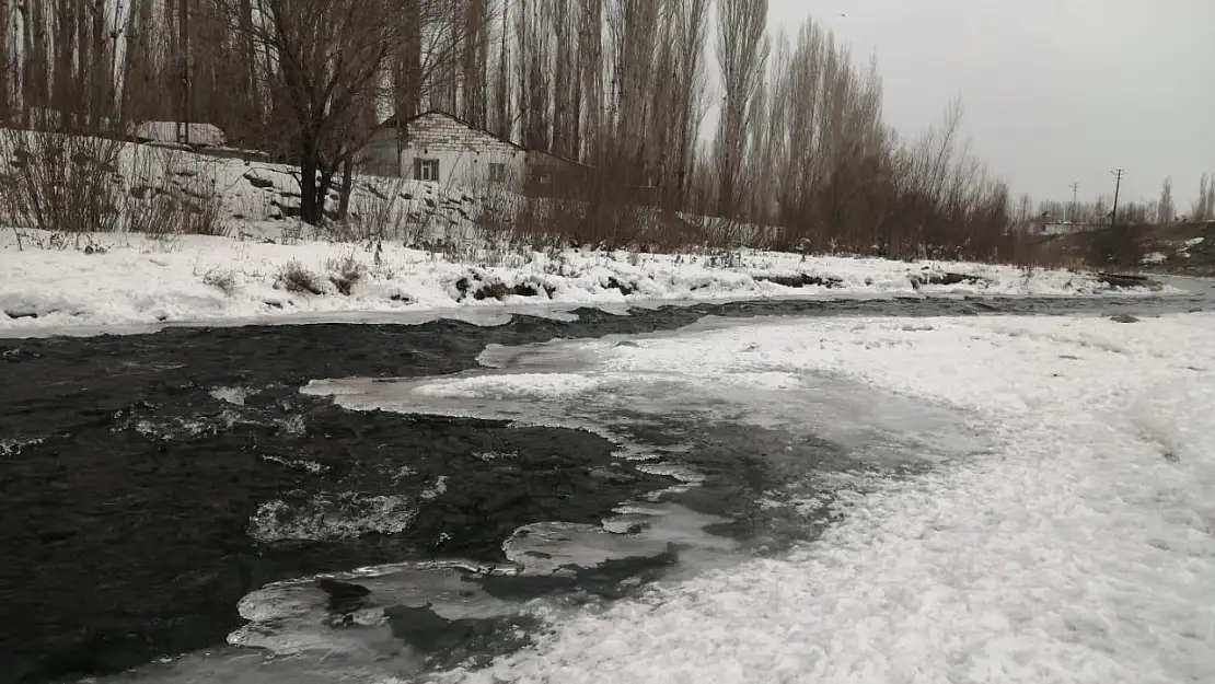 Ağrı'da kışın soğuk nefesi dereleri dondurdu