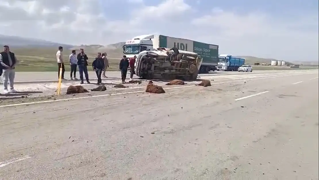 Ağrı'da köpeğe çarpmamak için manevra yapan araç devrildi: Kaza yeri kan gölüne döndü