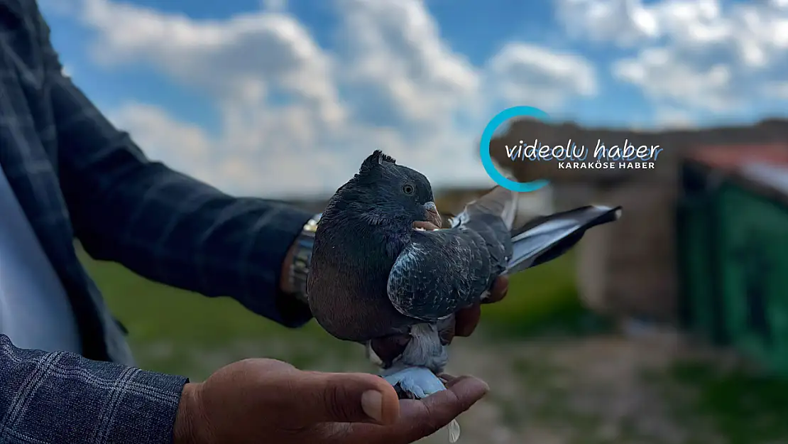 Ağrı'da kuş sevdası nesilden nesile yaşatılıyor